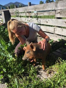Pet some pigs at Rocky Creek Farm along the Lewis and Clark National Historic Trail