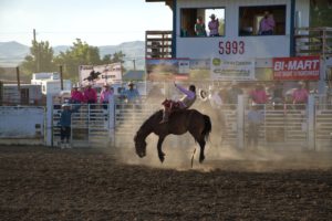 Experience midwestern culture and treat yourself to a rodeo.