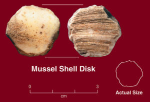 Fossil found at Menoken Indian Village State Historic Site