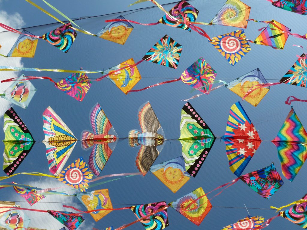 Many rainbow kites that look like owls and other birds gliding in blue skies