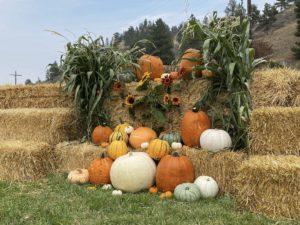 Pumpkins on display at Applestem along the Lewis and Clark National Historic Trail