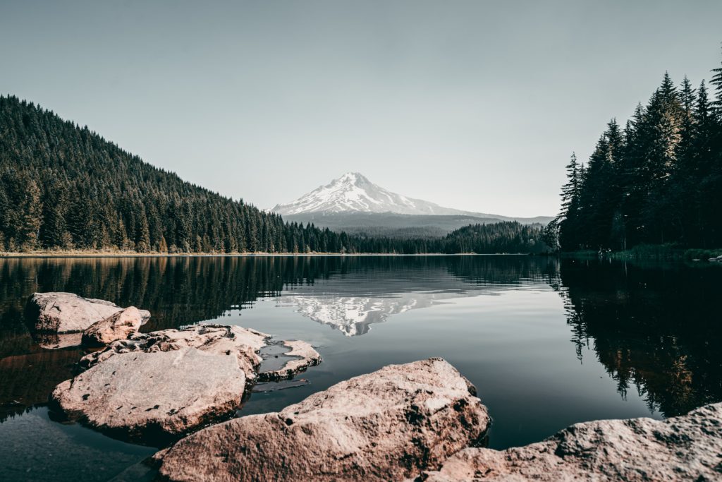 Mount Hood reflected on calm Trillium Lake in the summer