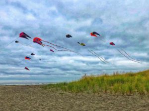 World Kite Festival on Long Beach