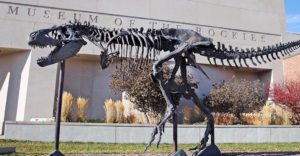 The museum welcomes visitors with a life-sized T-Rex statue