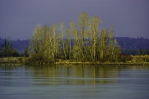 Riverview from Sauvie Island
