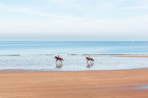 Ride horses on Long Beach and see roadside attractions in Oregon and Washington